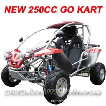 EEC GO KART.EEC BUGGY.EEC DUNE BUGGY(EEC-20)